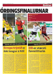 Síða 45