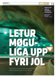 Síða 13