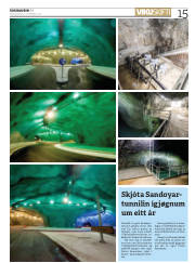 Síða 15