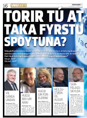 Síða 16