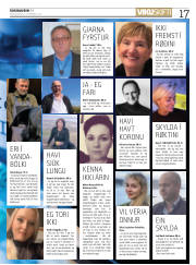 Síða 17