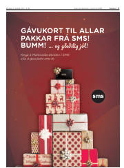 Síða 3