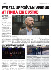 Síða 6