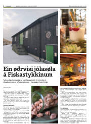 Síða 8
