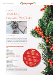Síða 25