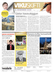 Síða 2
