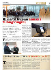 Síða 3