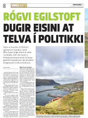 Síða 8
