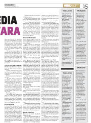Síða 15