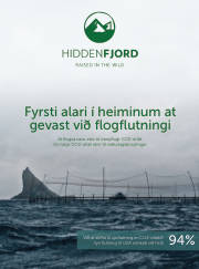 Síða 27