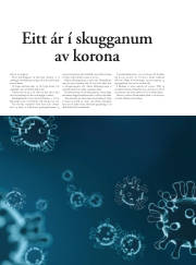Síða 29