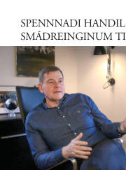 Síða 30