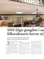Síða 32
