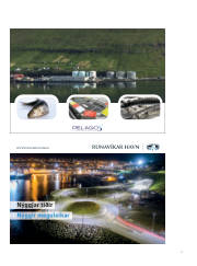 Síða 41