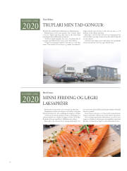 Síða 42