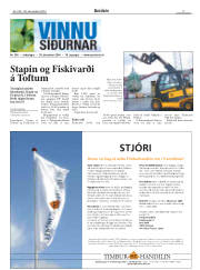 Síða 17