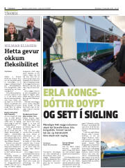 Síða 8