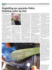Síða 14