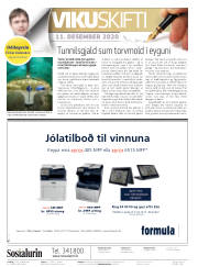 Síða 2