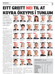 Síða 3