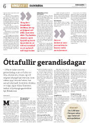Síða 6