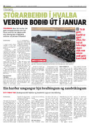 Síða 10