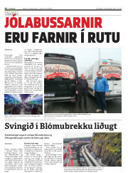 Síða 16