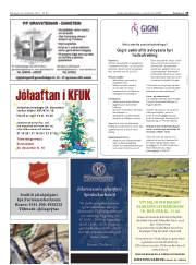 Síða 19