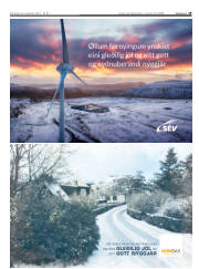 Síða 29