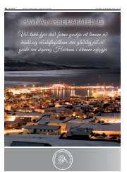 Síða 58