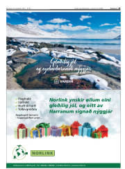 Síða 61