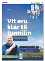 Síða 3