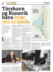 Síða 8