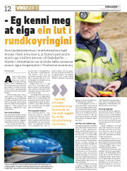 Síða 12