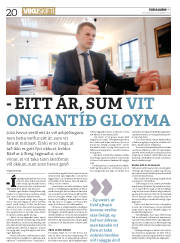 Síða 20