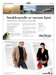 Síða 3