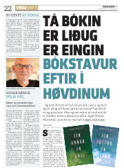 Síða 22