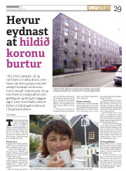 Síða 29