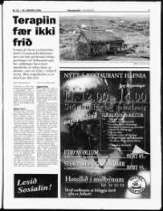 Síða 3