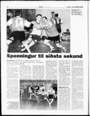 Síða 12