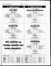 Síða 17