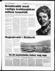 Síða 5