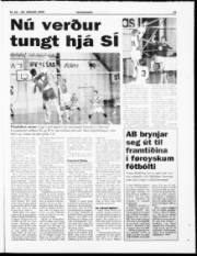 Síða 19