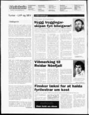 Síða 2