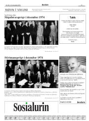 Síða 13
