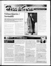 Síða 13