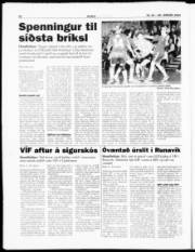 Síða 22