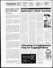 Síða 2