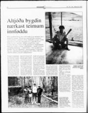 Síða 14