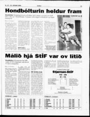 Síða 23